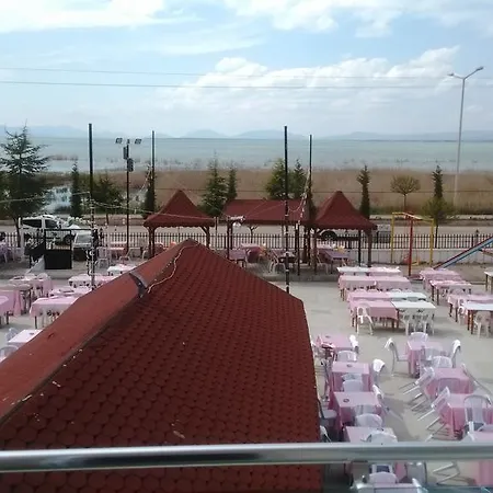 Gursoy *